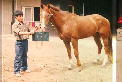 �÷��� ����