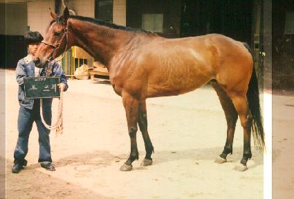 ������ ����