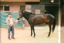 ������ (BLACK QUEEN) ����