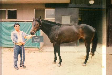 ������ ����