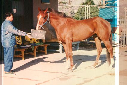 ���ӷ���ũ ����