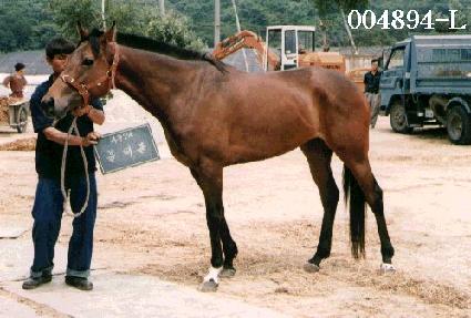 ����Ȧ ����