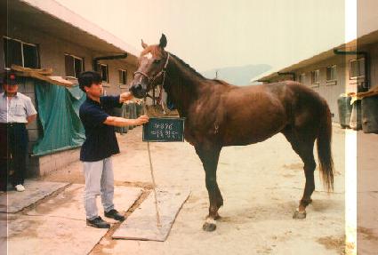 ���Ⱦ�� ����