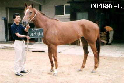 ������ ����