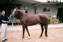 HWAN-SANG-JIL-JOO picture