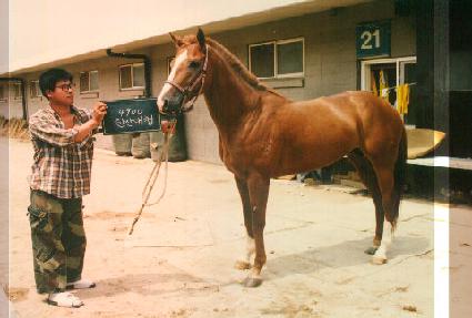 �ѻ��ø ����