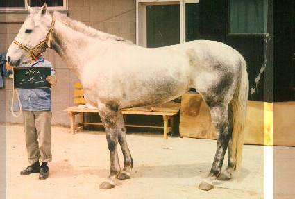 ũ���� ����