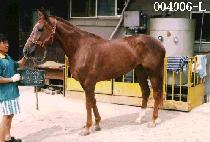 �������� (KWAN SIM JIP JOONG) ����