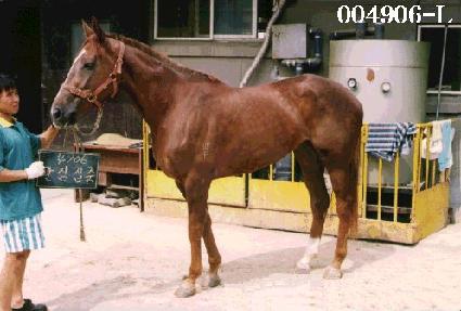 �������� ����