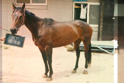 �ذŸ� ����