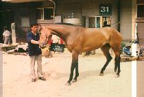 �����޻� (GA EUL HAE SAL) ����