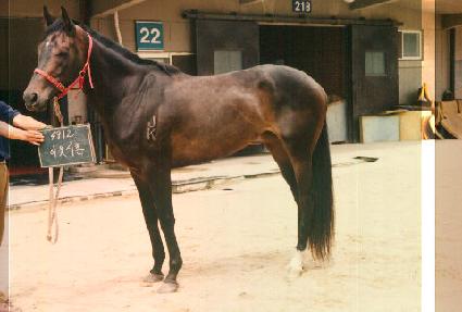 �̿����� ����