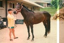 ���ٶ� (SAE BA RAM) ����