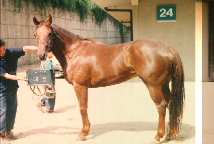 ��â ����