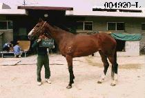 �ŵ����� (CINDERELLA) ����