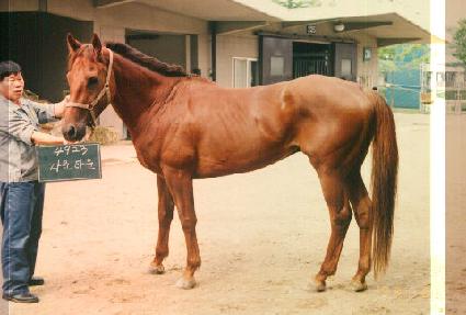 �ٿ�Ÿ�� ����