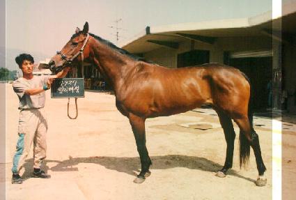 �︮���� ����