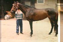 ���̾� (SCIENCE) ����