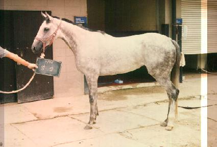 ���� ����