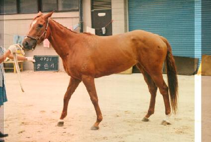 ç���� ����