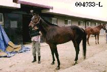 �Ϸ�Ʈ���� (ELECTROJET) ����