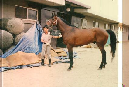 ������ ����