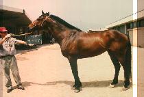 ����Ȩ�� (MAL LOO HOME RUN) ����