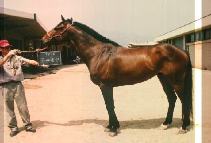 ����Ȩ�� ����