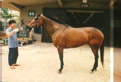 ������ ����