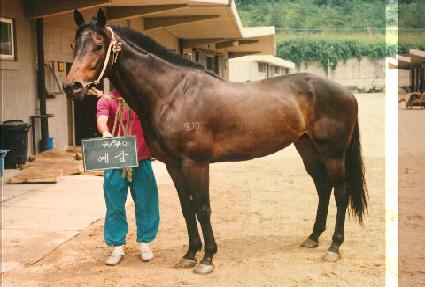 ���� ����