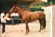 ���Ѱ� (SANG HAN KA) ����