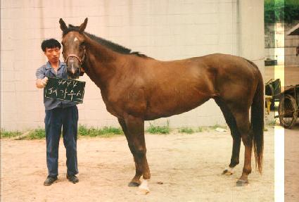 �䰡���� ����