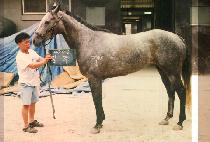 �ϰ� (IL GAK) ����