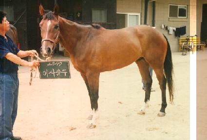 ������ ����