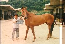 ��Ʈ����Ʈ (PATRIOT) ����