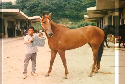 ��Ʈ����Ʈ ����