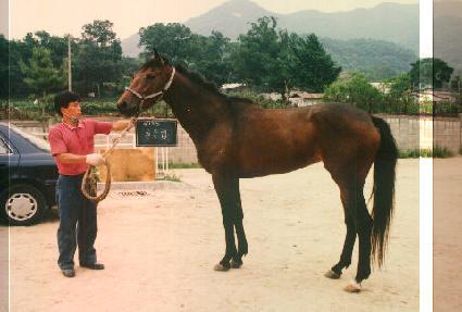 ����� ����