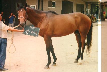 ������ ����