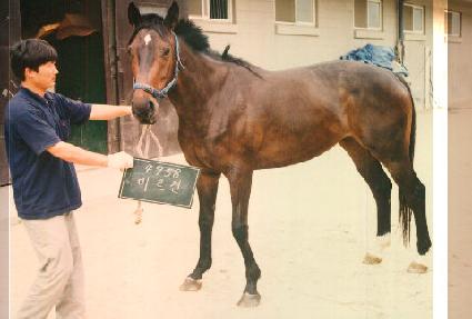 �̸�õ ����