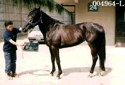 �����ô� ����