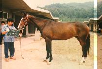 ��뼺 (SANG DAE SEONG) ����