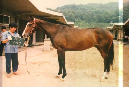 ��뼺 ����