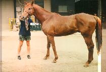 ����� (GU DAM BONG) ����