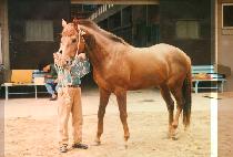 ��ǳ (JANG POONG) ����