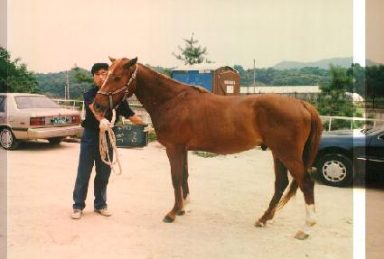 ¦�� ����