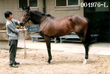 ȭ���� ����