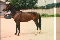 ������ (KOE JI NA) ����