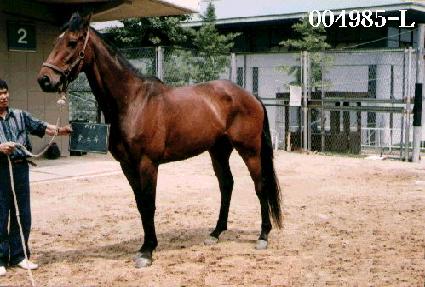 �ý�Ÿ ����