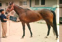 �߱��� (YA KWANG JU) ����