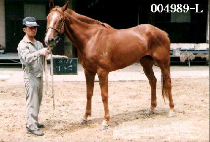 ��α� ����